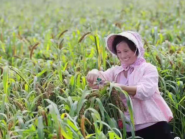 成長(zhǎng).jpg